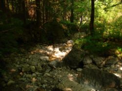 2013-07-20_Regina-F-Rau_Kochel-Rabenkopf (211).JPG